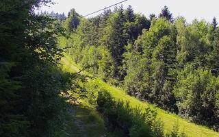 Laskowa pośredni - 27-06-2026 14:03