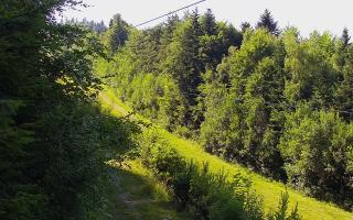 Laskowa pośredni - 27-06-2026 14:25