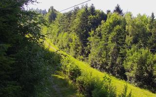Laskowa pośredni - 27-06-2026 14:36