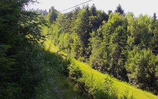 Laskowa pośredni - 27-06-2026 14:47