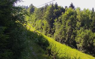 Laskowa pośredni - 27-06-2026 14:58