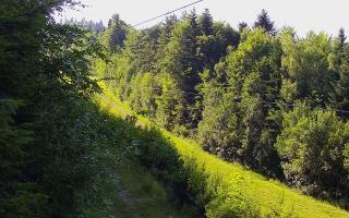 Laskowa pośredni - 27-06-2026 15:09