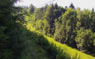 Laskowa pośredni - 27-06-2026 15:20