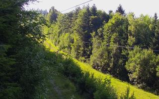 Laskowa pośredni - 27-06-2026 15:31