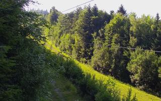 Laskowa pośredni - 27-06-2026 15:42