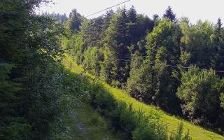 Laskowa pośredni - 27-06-2026 15:53
