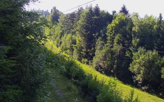 Laskowa pośredni - 27-06-2026 16:04