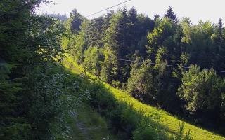 Laskowa pośredni - 27-06-2026 16:26