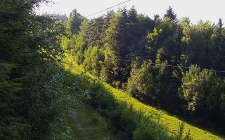 Laskowa pośredni - 27-06-2026 16:37