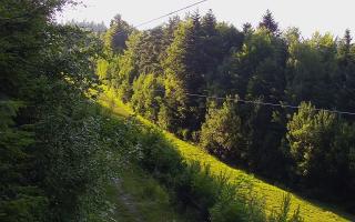 Laskowa pośredni - 27-06-2026 16:48