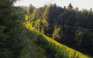 Laskowa pośredni - 27-06-2026 16:59