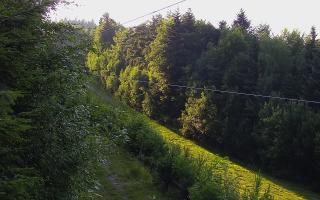Laskowa pośredni - 27-06-2026 17:10