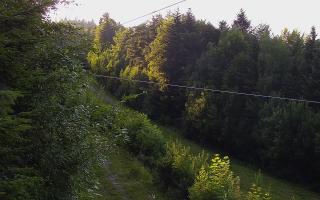 Laskowa pośredni - 27-06-2026 17:21