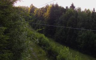 Laskowa pośredni - 27-06-2026 17:32