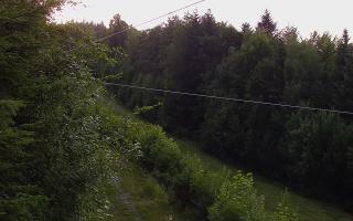 Laskowa pośredni - 27-06-2026 17:43