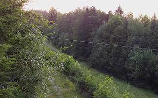 Laskowa pośredni - 27-06-2026 18:27