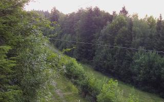 Laskowa pośredni - 27-06-2026 18:49