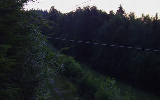 Laskowa pośredni - 27-06-2026 19:22