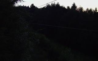 Laskowa pośredni - 27-06-2026 19:33