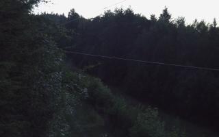 Laskowa pośredni - 27-06-2026 19:44