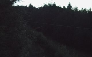 Laskowa pośredni - 27-06-2026 19:55