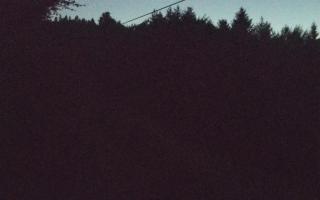 Laskowa pośredni - 27-06-2026 20:28