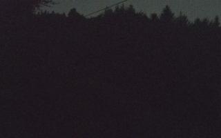 Laskowa pośredni - 27-06-2026 21:23