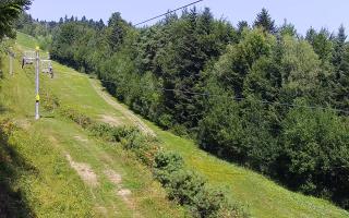 Laskowa pośredni - 30-07-2026 08:21