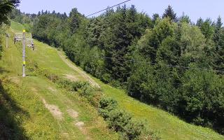 Laskowa pośredni - 30-07-2026 08:32