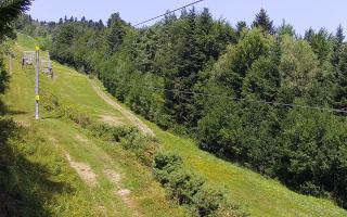 Laskowa pośredni - 30-07-2026 09:05