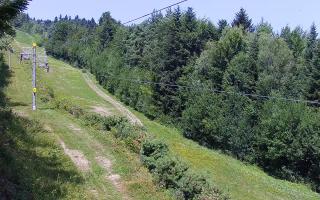 Laskowa pośredni - 30-07-2026 09:27