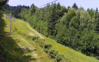 Laskowa pośredni - 30-07-2026 10:22
