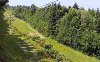 Laskowa pośredni - 30-07-2026 11:06
