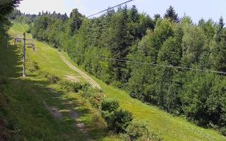 Laskowa pośredni - 30-07-2026 11:17