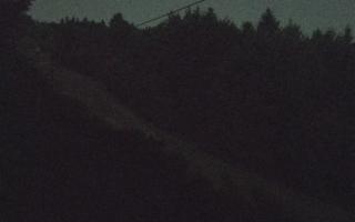 Laskowa pośredni - 30-07-2026 20:26
