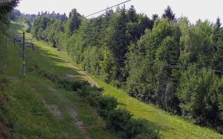 Laskowa pośredni - 01-08-2026 14:20