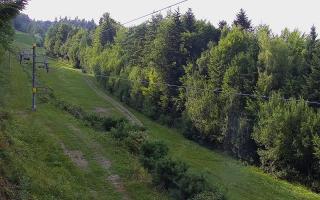 Laskowa pośredni - 01-08-2026 15:26