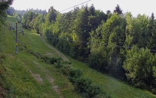 Laskowa pośredni - 01-08-2026 15:37