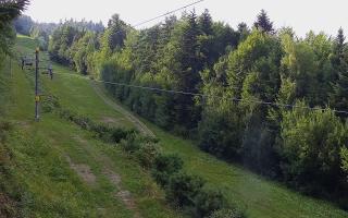 Laskowa pośredni - 01-08-2026 15:48