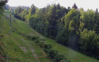 Laskowa pośredni - 01-08-2026 15:59