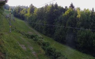 Laskowa pośredni - 01-08-2026 16:21