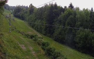 Laskowa pośredni - 01-08-2026 16:54