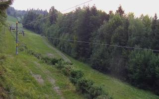 Laskowa pośredni - 01-08-2026 17:38