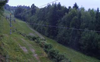 Laskowa pośredni - 01-08-2026 18:44