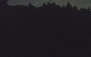 Laskowa pośredni - 01-08-2026 19:38