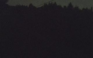 Laskowa pośredni - 01-08-2026 20:11