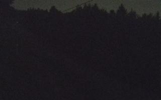 Laskowa pośredni - 01-08-2026 20:33