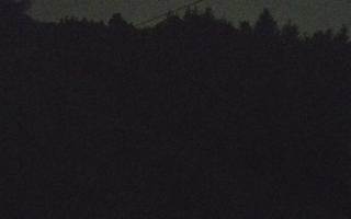 Laskowa pośredni - 01-08-2026 20:44