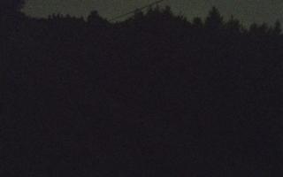 Laskowa pośredni - 01-08-2026 20:55
