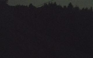 Laskowa pośredni - 01-08-2026 21:17